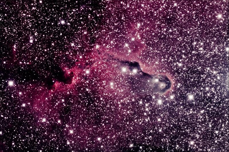 RGB image of IC 1396 (Elephant Trunk Nebula) in Cepheus was taken in September, 2008, at New Mexico Skies using a Takahashi FRC-300 reflector telescope fitted with an SBIG STL-11000M wide-format camera riding on a Paramount ME.  The total exposure time was 2.25 Hrs.